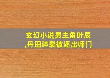 玄幻小说男主角叶辰,丹田碎裂被逐出师门