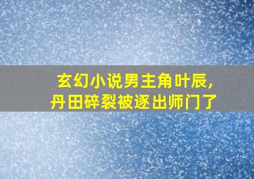 玄幻小说男主角叶辰,丹田碎裂被逐出师门了