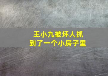 王小九被坏人抓到了一个小房子里