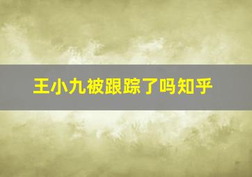 王小九被跟踪了吗知乎