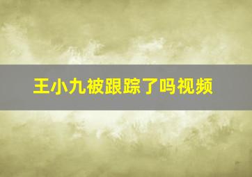 王小九被跟踪了吗视频