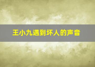 王小九遇到坏人的声音