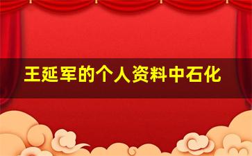 王延军的个人资料中石化