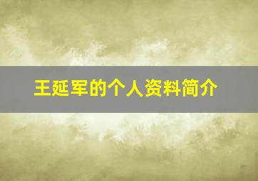 王延军的个人资料简介