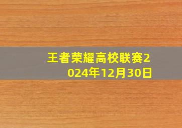 王者荣耀高校联赛2024年12月30日