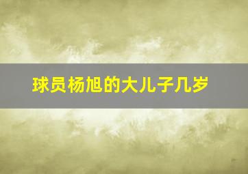 球员杨旭的大儿子几岁