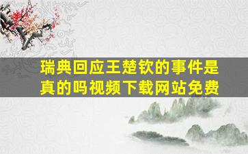 瑞典回应王楚钦的事件是真的吗视频下载网站免费