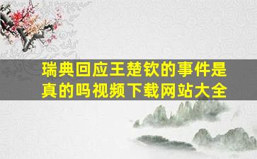 瑞典回应王楚钦的事件是真的吗视频下载网站大全