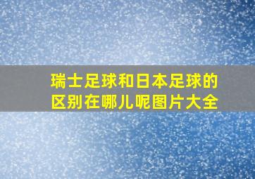 瑞士足球和日本足球的区别在哪儿呢图片大全