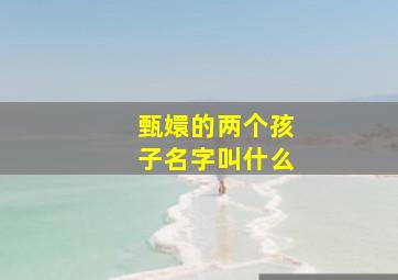 甄嬛的两个孩子名字叫什么