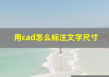 用cad怎么标注文字尺寸