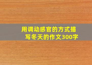 用调动感官的方式描写冬天的作文300字