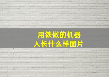 用铁做的机器人长什么样图片