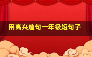 用高兴造句一年级短句子