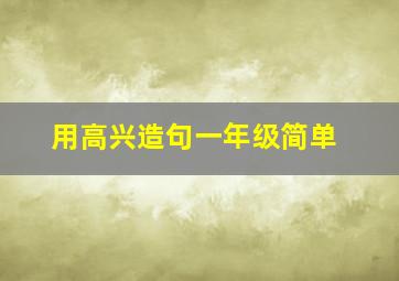 用高兴造句一年级简单