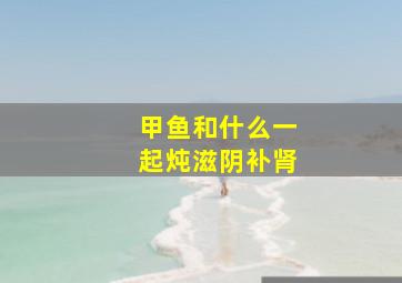 甲鱼和什么一起炖滋阴补肾