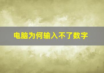 电脑为何输入不了数字