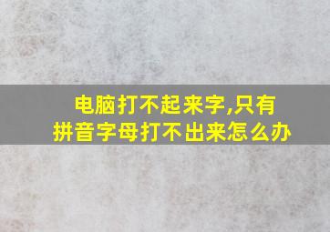 电脑打不起来字,只有拼音字母打不出来怎么办