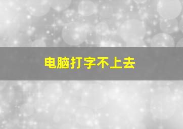 电脑打字不上去