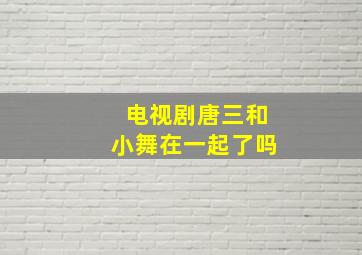 电视剧唐三和小舞在一起了吗