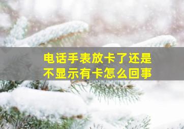 电话手表放卡了还是不显示有卡怎么回事