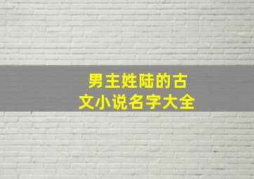 男主姓陆的古文小说名字大全