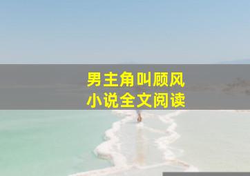 男主角叫顾风小说全文阅读