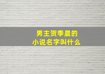 男主贺季晨的小说名字叫什么