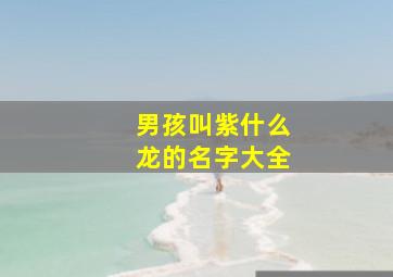 男孩叫紫什么龙的名字大全