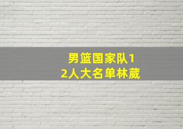 男篮国家队12人大名单林葳