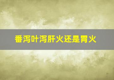 番泻叶泻肝火还是胃火