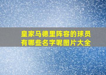 皇家马德里阵容的球员有哪些名字呢图片大全