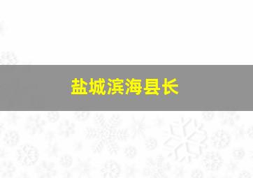 盐城滨海县长