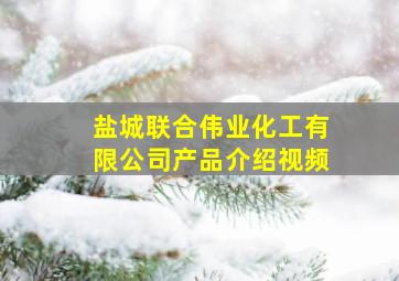 盐城联合伟业化工有限公司产品介绍视频