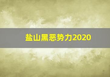 盐山黑恶势力2020