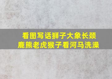 看图写话狮子大象长颈鹿熊老虎猴子看河马洗澡