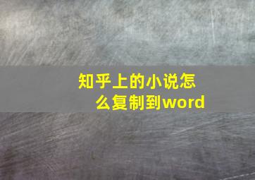 知乎上的小说怎么复制到word