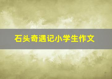 石头奇遇记小学生作文