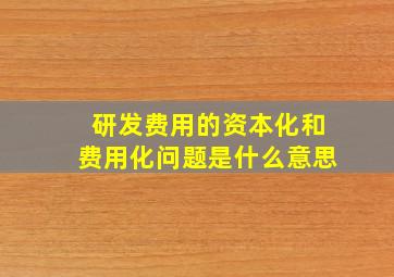 研发费用的资本化和费用化问题是什么意思