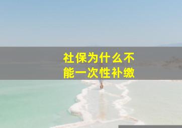 社保为什么不能一次性补缴