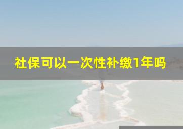 社保可以一次性补缴1年吗