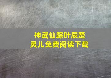 神武仙踪叶辰楚灵儿免费阅读下载