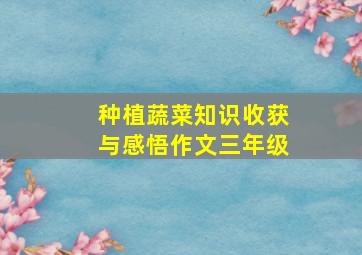 种植蔬菜知识收获与感悟作文三年级