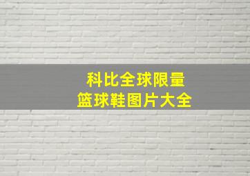 科比全球限量篮球鞋图片大全