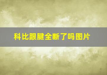 科比跟腱全断了吗图片