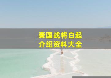 秦国战将白起介绍资料大全