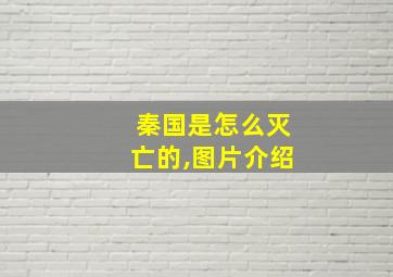 秦国是怎么灭亡的,图片介绍