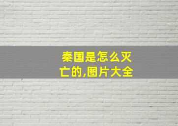 秦国是怎么灭亡的,图片大全