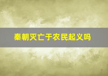 秦朝灭亡于农民起义吗