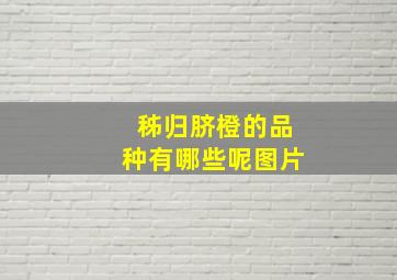 秭归脐橙的品种有哪些呢图片